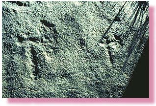 Asce incise della fine dell'età del Ferro, Valle di Susa